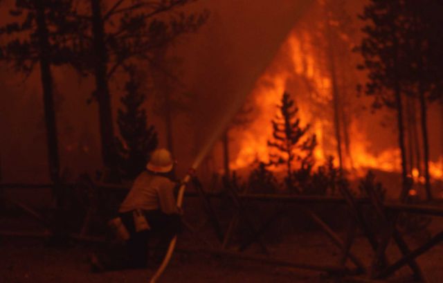 Firefighter with fire hose near Norris Museum Picture