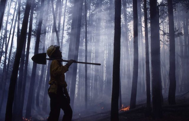 Firefighter Gillian Bowser in forest with small fire near Lava Creek Picture