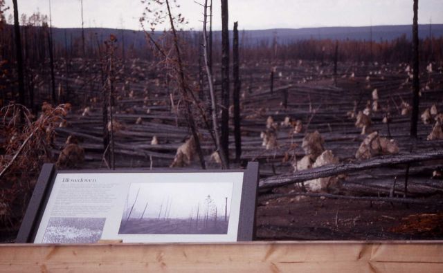 Wayside fire exhibit at blow down Picture