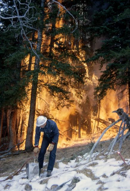 Prescribed burn Picture
