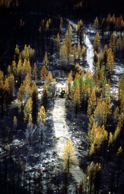 Aerial view of cat & crew rehabing cat line - Fire rehabilitation Picture