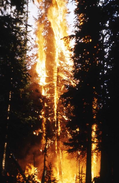 Trail Creek fire Picture