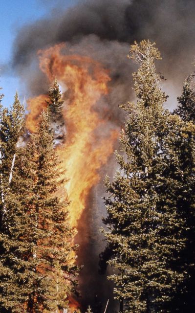Trail Creek fire Picture