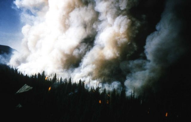 Trail Creek fire Picture