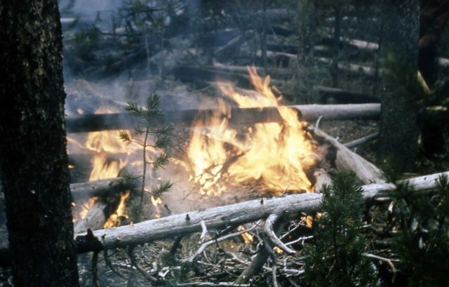 Trail Creek fire Picture