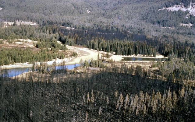 Trail Creek fire Picture