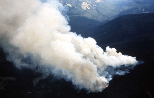 Willow Creek fire Picture