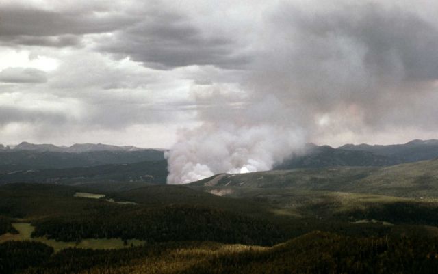 Willow Creek fire Picture