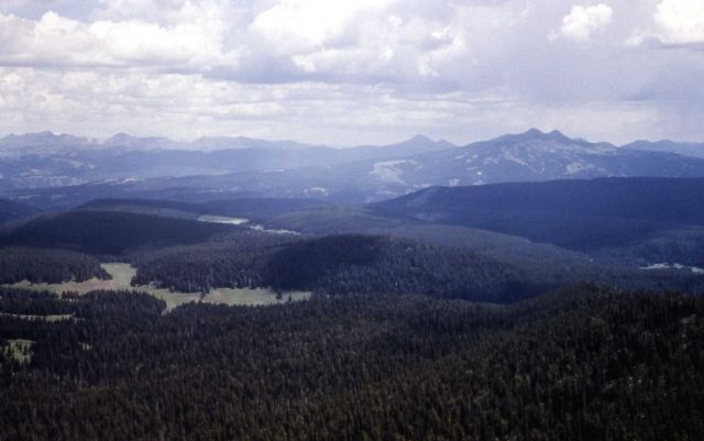 Willow Creek fire Picture