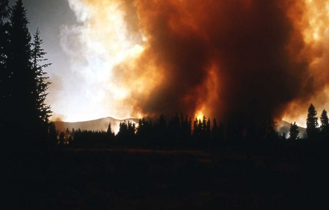 Trail Creek fire Picture