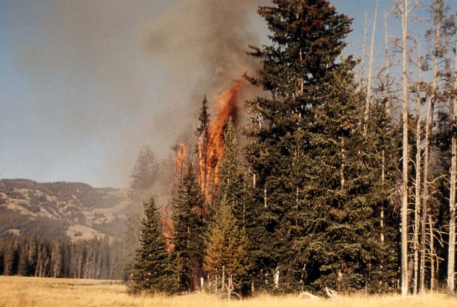 Trail Creek fire Picture