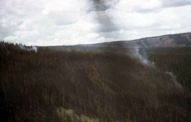 Aerial view of the Willow Creek fire Picture