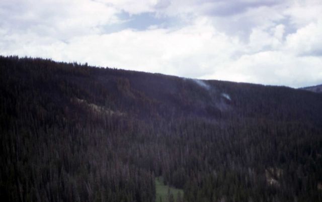 Aerial view of the Willow Creek fire Picture