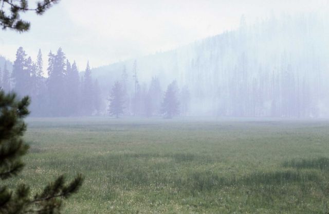 Meadow filled with smoke from fire at Grizzly Lake trailhead Picture