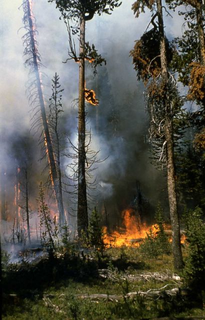 Lewis Lake fire Picture