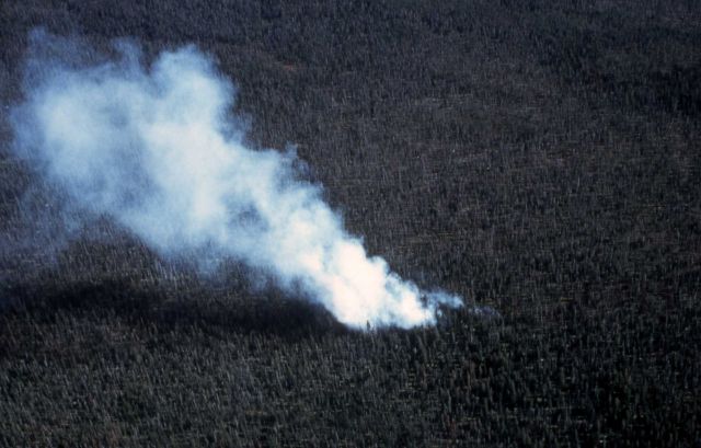 Aerial view of a spot fire Picture