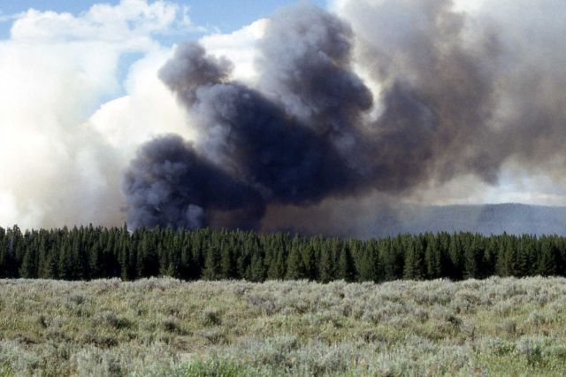 Indian Pond, start of the Raven fire Picture