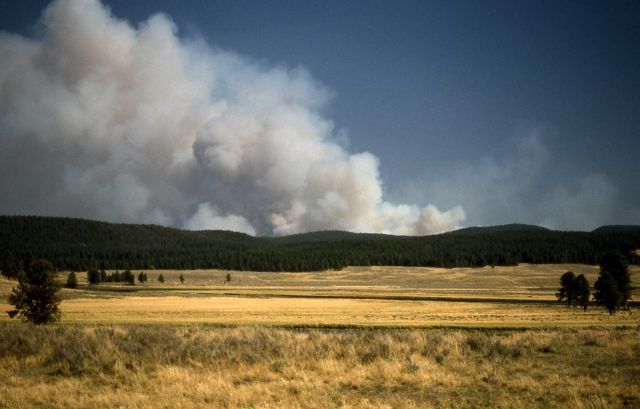 Tern/Raven fire as seen from Pelican Valley Picture