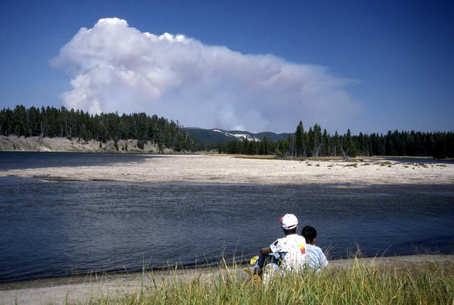 Visitors watching the Tern/Raven fire from Fishiing Bridge Picture