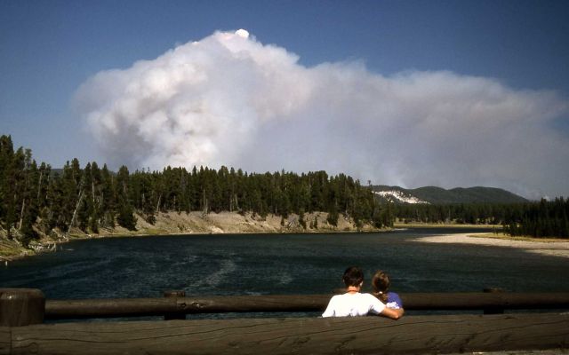 Visitors watching Tern/Raven fire from Fishing Bridge Picture