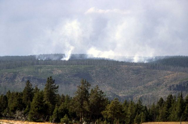 Little fire near Old Faithful Picture