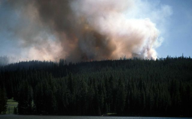 Continental Divide fire Picture