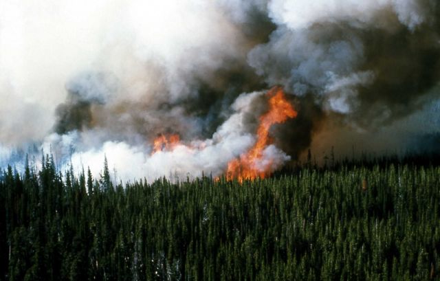 Continental Divide fire Picture