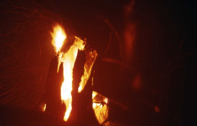 Cottongrass fire Picture