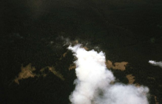 Aerial view of the Raven Creek fire Picture