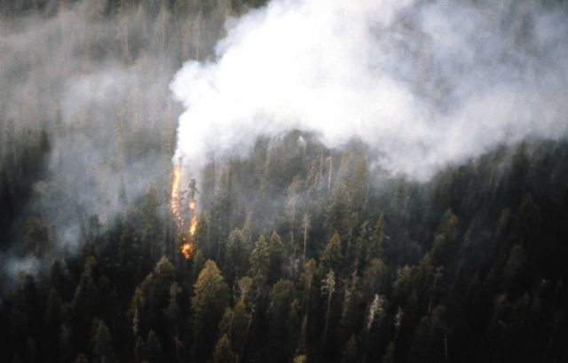 Aerial view of the Raven Creek fire Picture