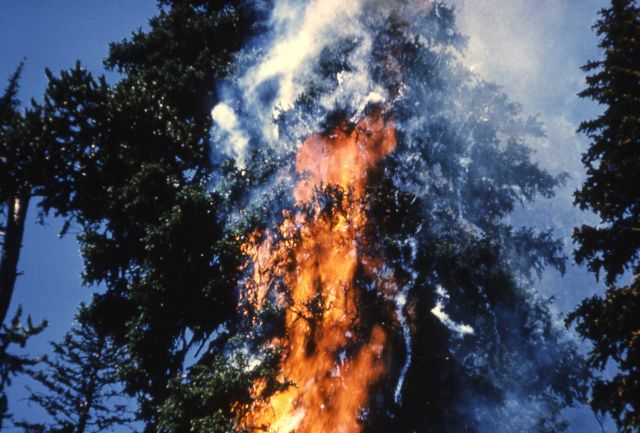 Raven Creek fire Picture