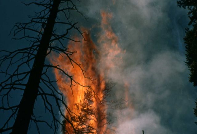 Raven Creek fire Picture