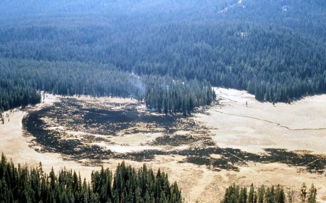 Area near the origin of the Trail Creek fire Picture