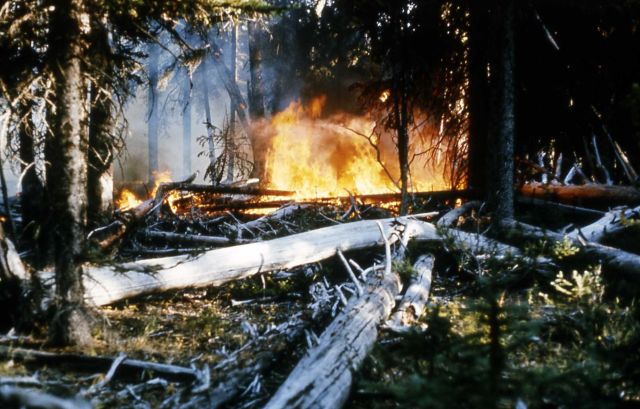 Trail Creek fire Picture
