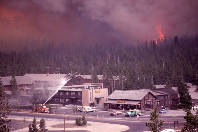 Dense smoke & Crown fire approaching Old Faithful Snow Lodge Picture