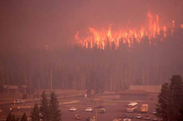 Approaching firestorm (Crown fire) at Old Faithful Inn with buses in parking lot Picture