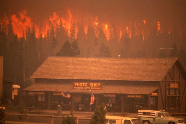 Crown fire (flame & smoke) approaching Old Faithful Photo shop & Snow Lodge Picture