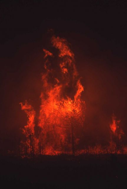 Night view of North Fork fire Picture