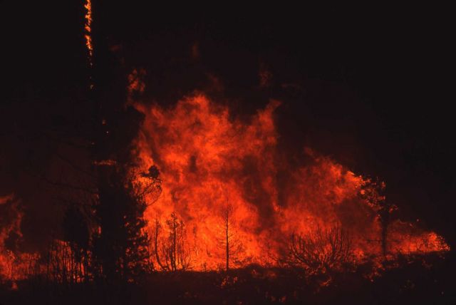 Night view of North Fork fire Picture