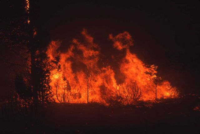 Night view of North Fork fire Picture