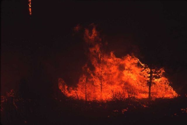 Night view of North Fork fire Picture
