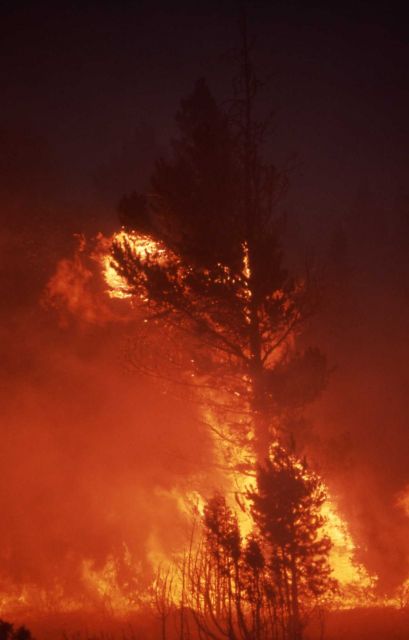 Crown fire Picture