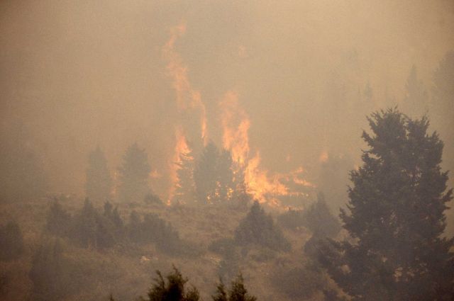 Distant view of crown fire at Africa Lake Picture