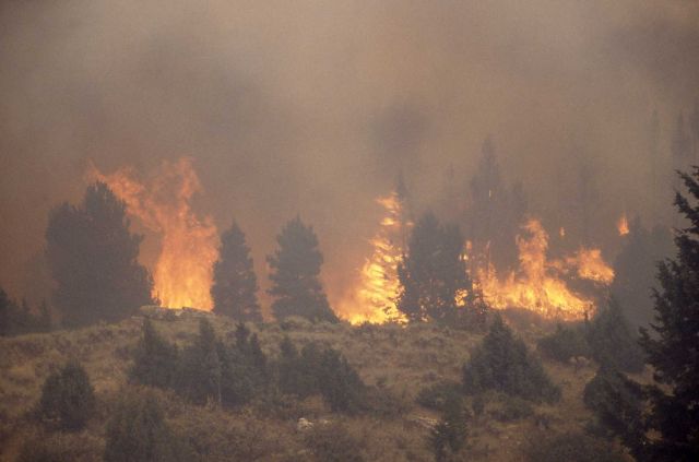 Distant view of Crown fire at Africa Lake Picture