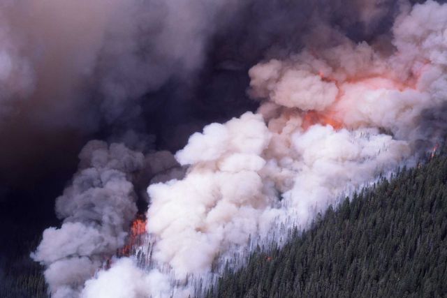 Aerial view of Crown fire with dense smoke on Mirror Plateau Picture