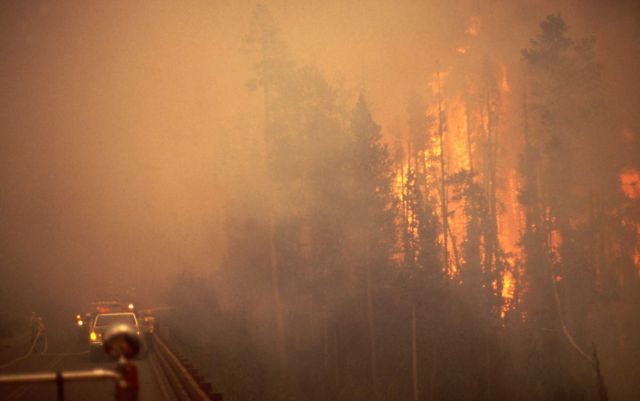 Crown fire & dense smoke at Grant Village campground bridge Picture