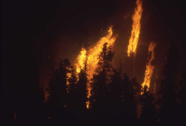 Nightime view of Crown fire near northeast entrance Picture