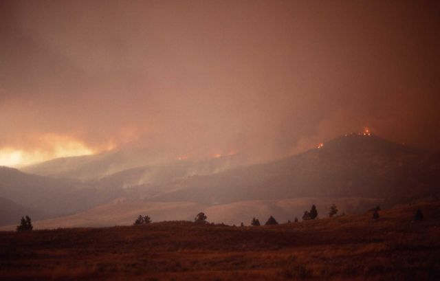 Fire on Buffalo Plateau Picture