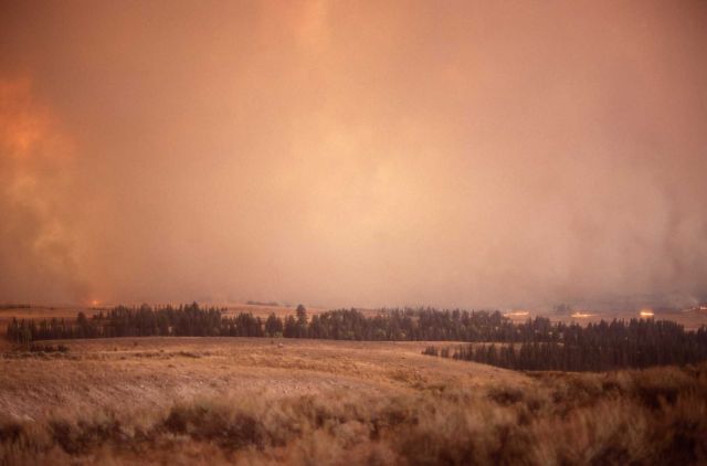 Sage (ground) fire on Blacktail Plateau Picture