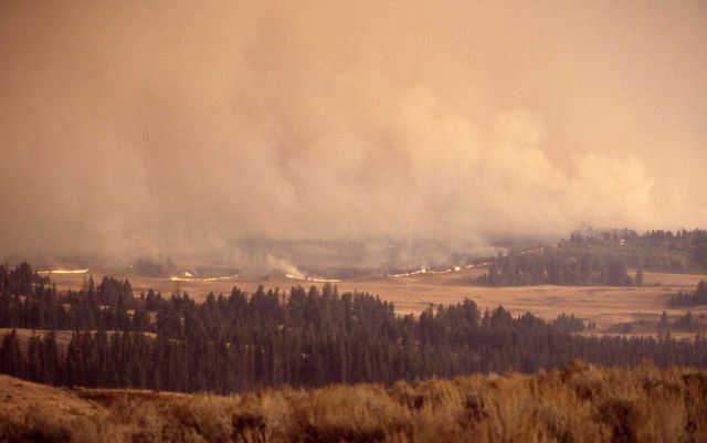 Sage (ground) fire on Blacktail Plateau Picture